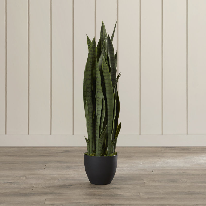Faux Snake Plant in Pot & Reviews Joss & Main